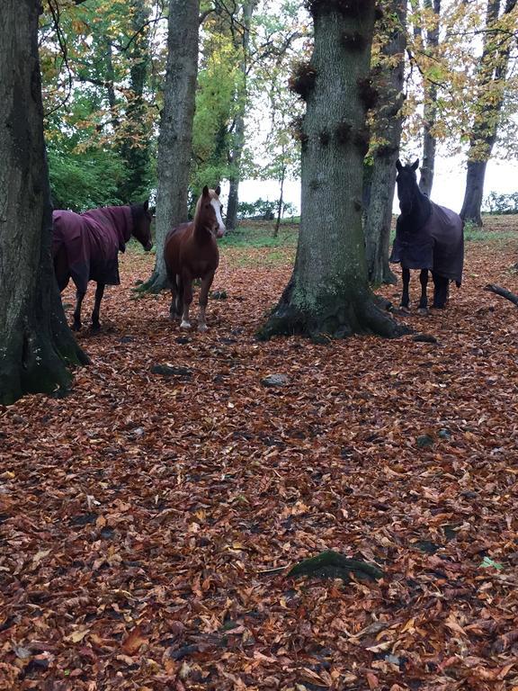 Brookover Farm Villa Frome Buitenkant foto