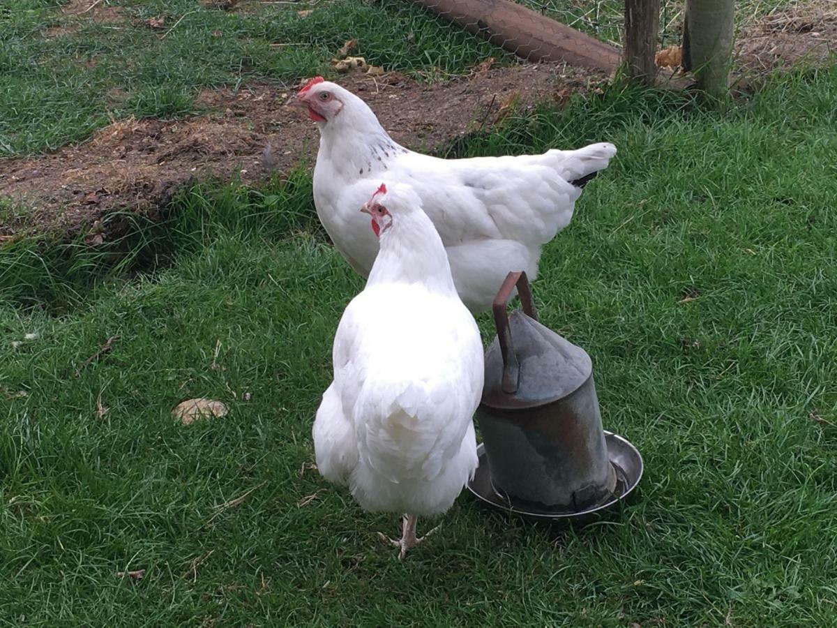 Brookover Farm Villa Frome Buitenkant foto